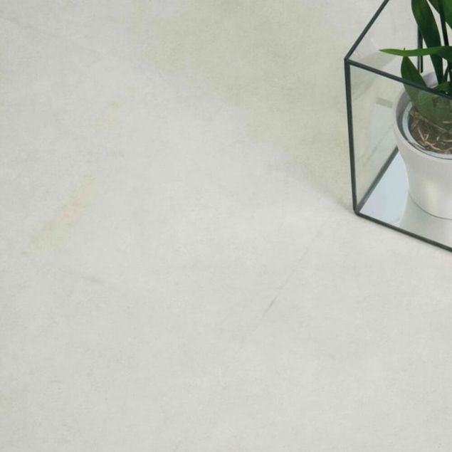 Peri - Lani cameo shot